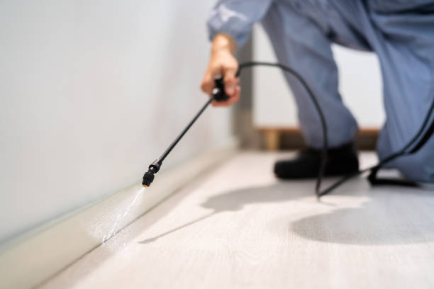 Licensed Rodent Control service in Monterey, CA - Nex Pest Control