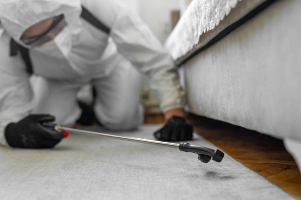 Professional Rodent Control technician working in Monterey, CA