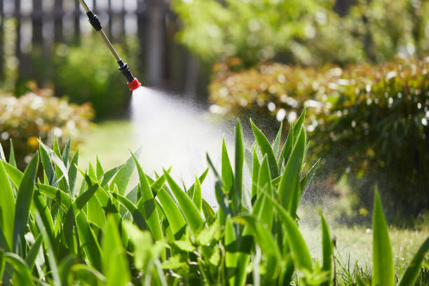 24/7 Emergency Rodent Control experts in Monterey, CA