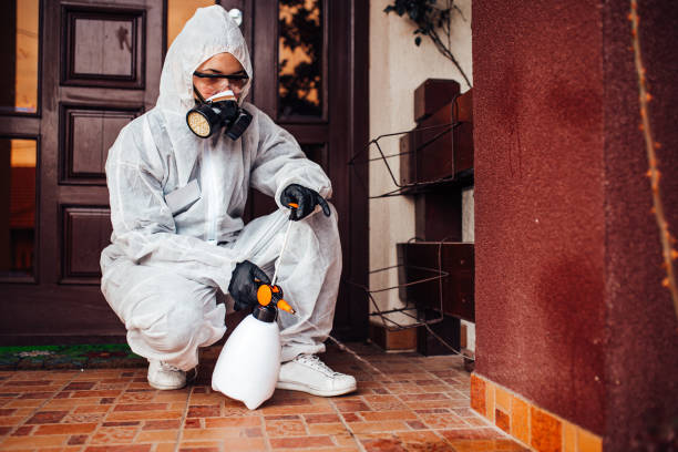 Reliable Rodent Control contractor in Monterey, CA by Nex Pest Control