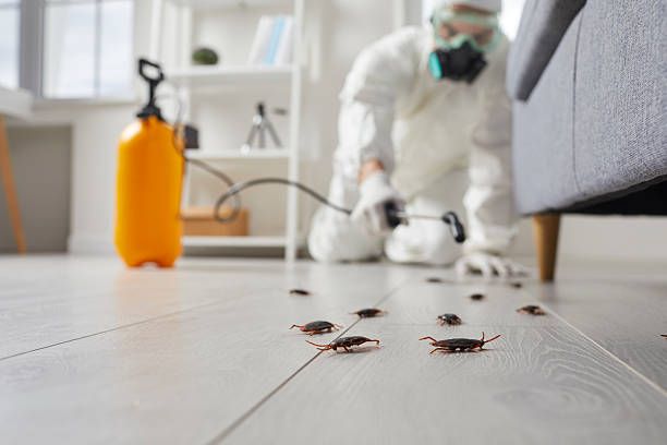 Affordable Rodent Control solutions in Monterey, CA