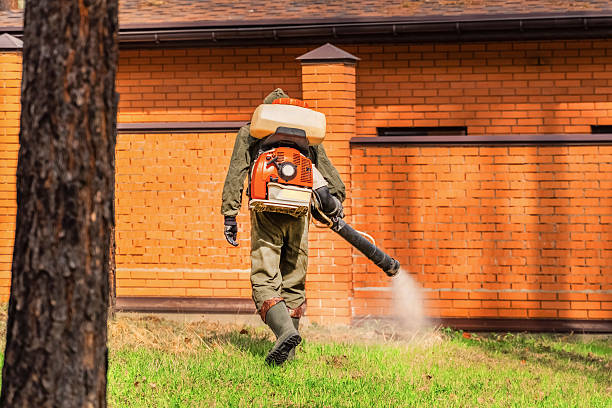 Top rated local Rodent Control specialists in Monterey, CA